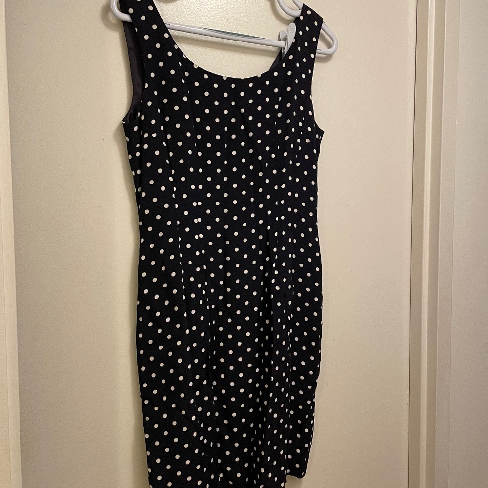 The Limited navy polka dot dress